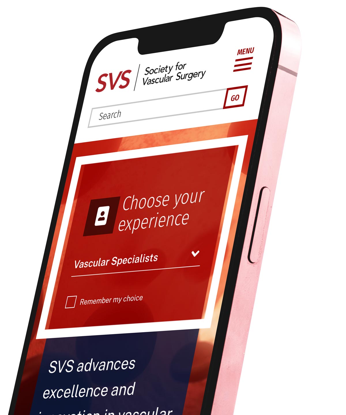 SVS homepage on a mobile device. Text says Choose your expeirence.