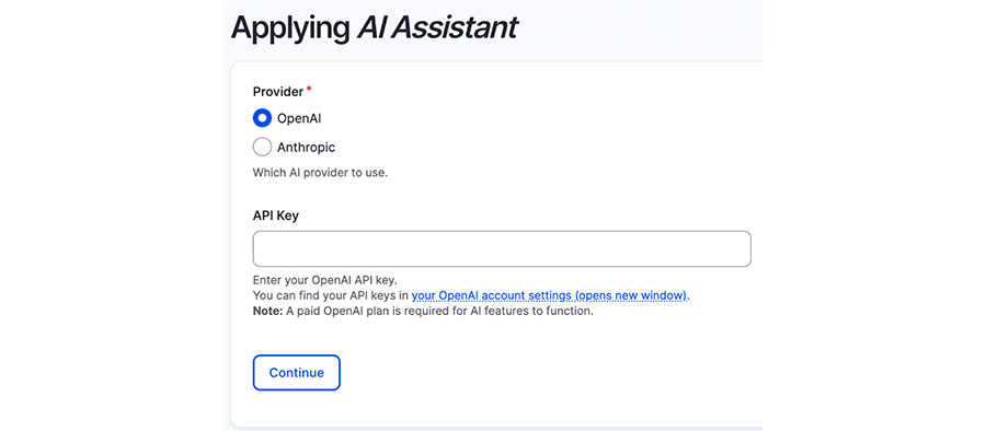 Drupal CMS applying AI assistant provider key