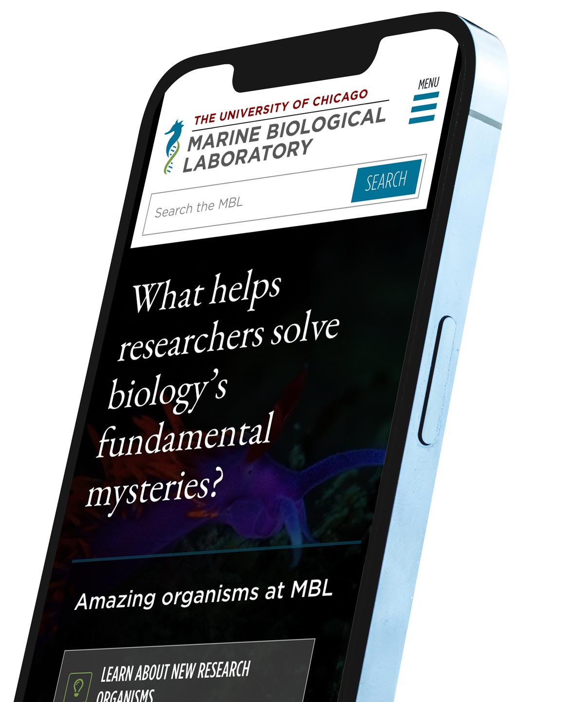 The MBL homepage shown on a mobile phone