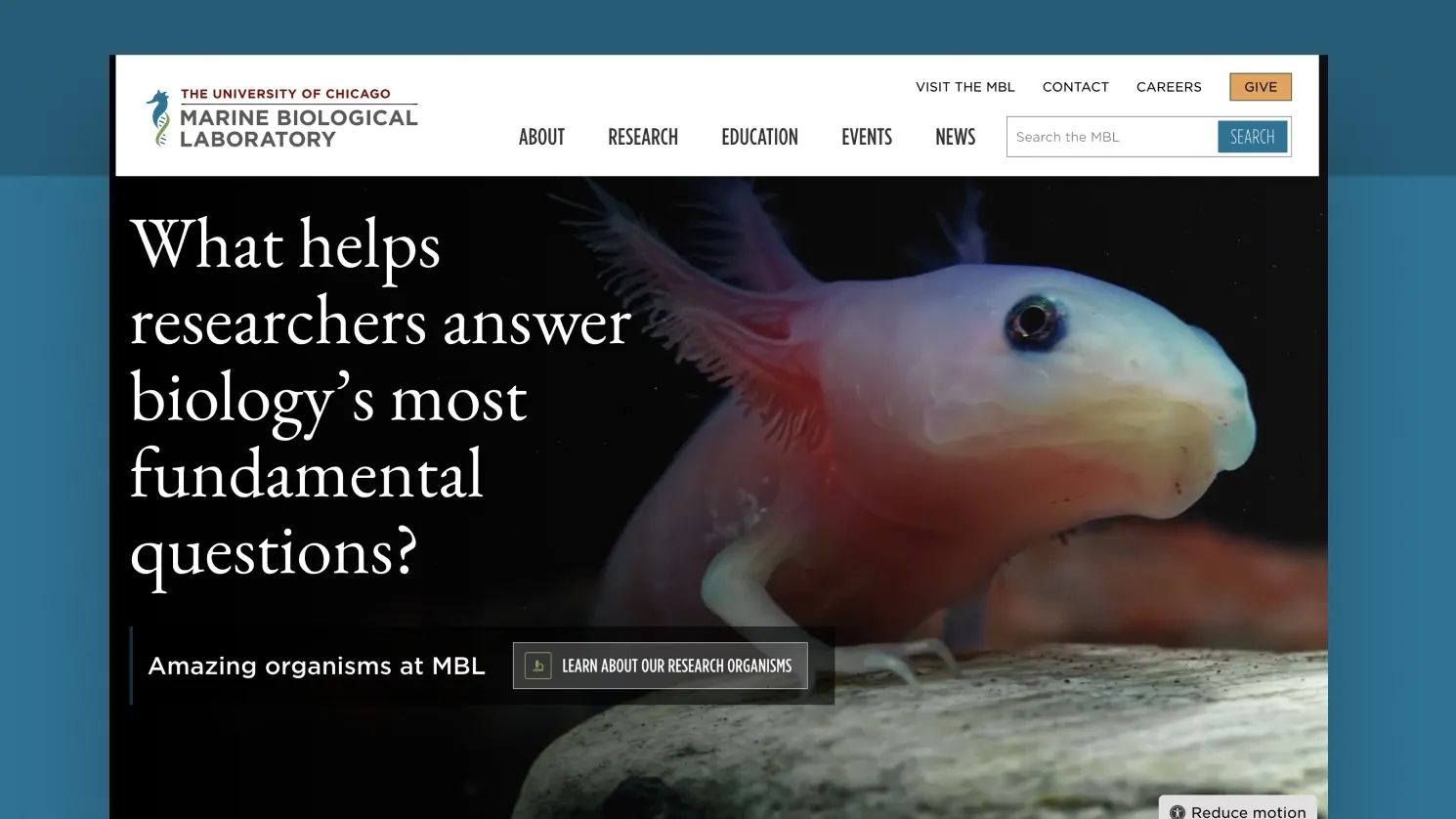 MBL homepage
