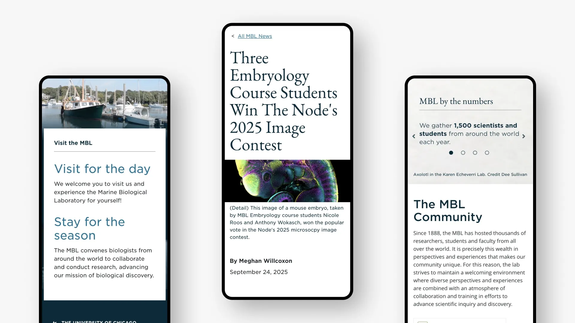 Mobile screens for MBL.edu
