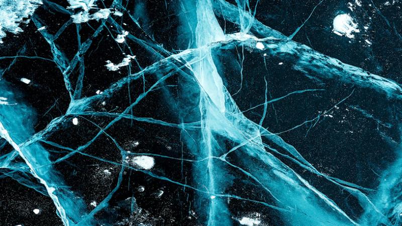 close up of a brain!!