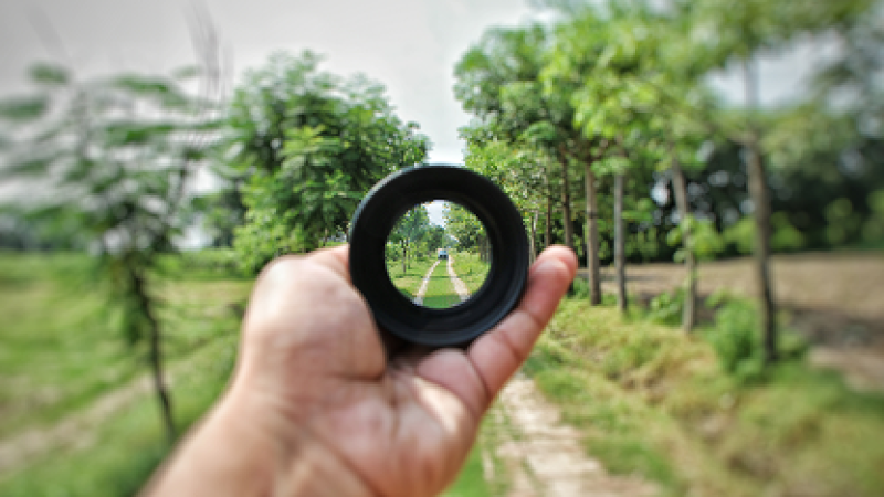 Hand holding a camera lens, looking through to a tree-lined path.