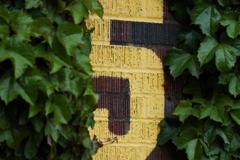 5 painted on bricks with ivy outside Wrigley Field