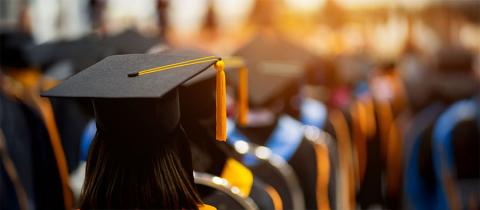 Graduates in caps and gowns in warm sunlight.